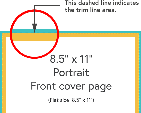 Enlarged illustration of the trim line