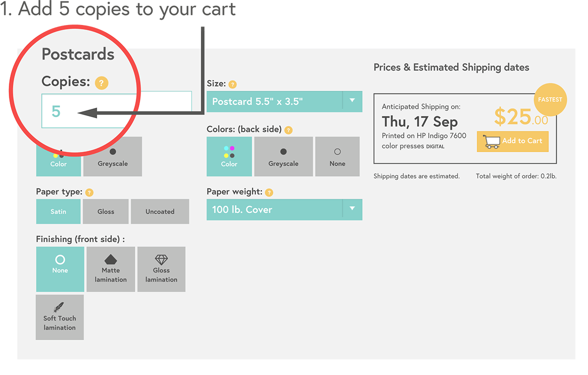 Add 5 copies to your cart