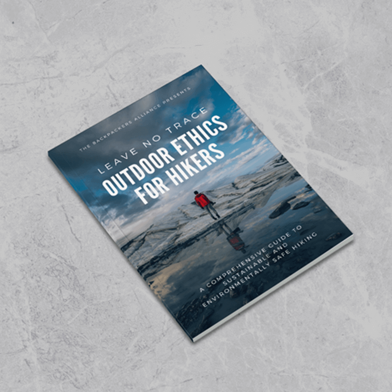 美品☆TUBE　パンフレット✕14冊セット パンフレットの製本 | Mixam Japan